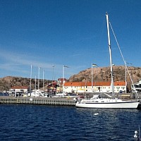 Plenty of space in the marina