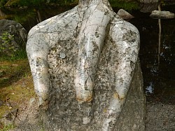 Stein Parken - a polished stone