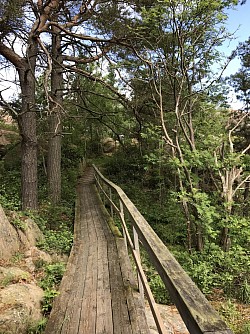Part of one of the paths along the shore