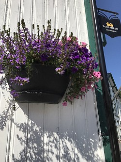 Colorful floral decorations in the 