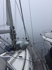 Fog today, Friday.