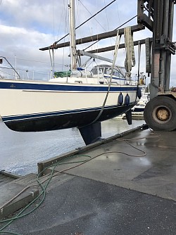 Up and out of the water!
