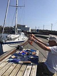 Examination of the Norwegian lobsters